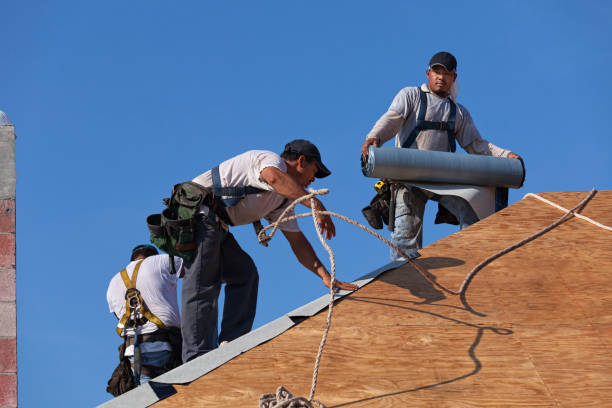 Best Roof Gutter Cleaning  in Erath, LA